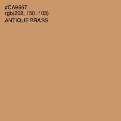#CA9667 - Antique Brass Color Image